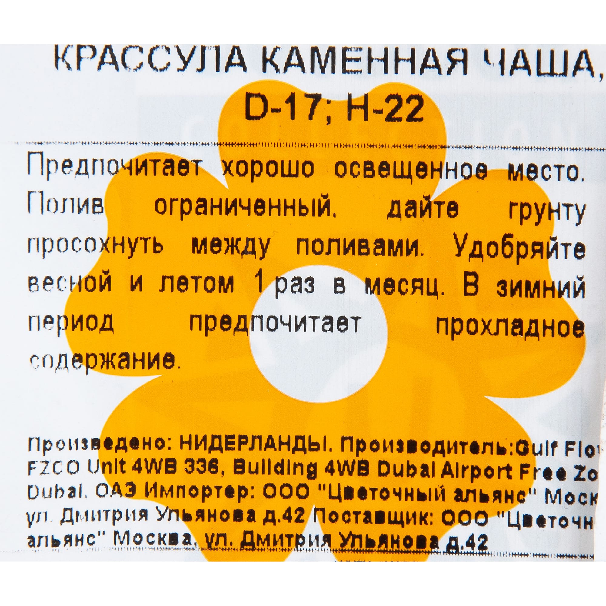 82850441 Крассула в каменной чаше 17х22 см Santreyd  - Вид №2