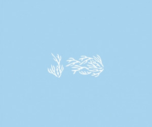 3837500 Трафарет пластиковый, коралл, 15x30 см, упак. 1 шт. Rayher