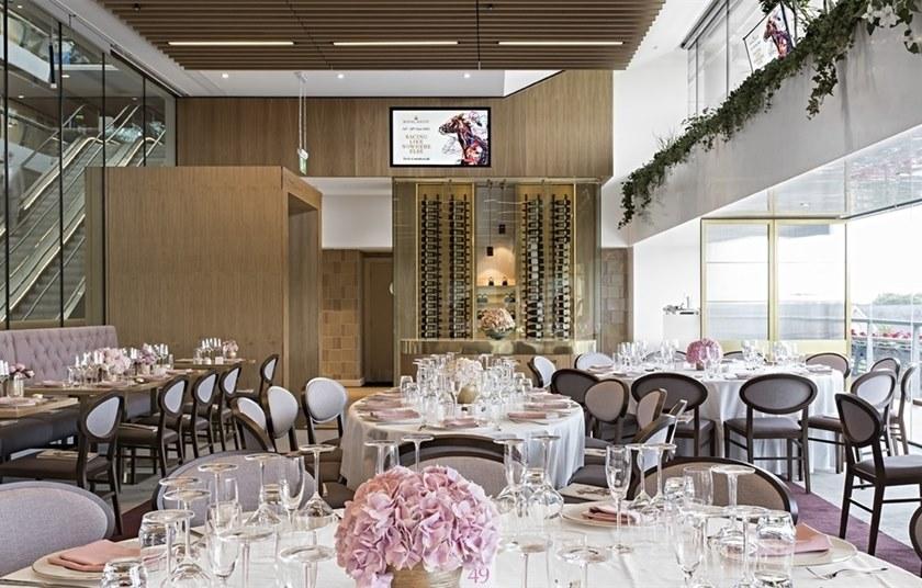 Andreu World Стул-медальон, обитый буком, с открытой спинкой Zarina Si1708 - Вид №5