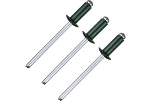 16068387 Вытяжная заклепка 4х10 мм RAL 6005 7921 Daxmer