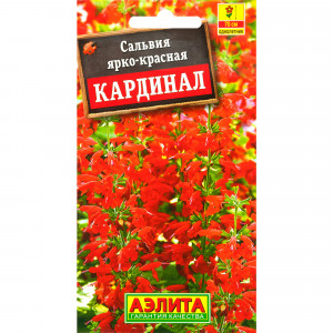 83495463 Семена Сальвия «Кардинал»