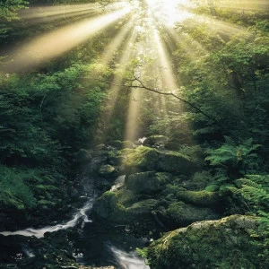 SH075-VD2-Divine Фотообои Komar Stefan Hefele 2.5х2 м