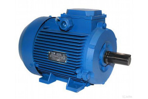 17364138 Электродвигатель У2-380-50IM1081К31ААА 1Ex db eb llBT4 Gb 4ВР80А4 1,1*1500 1081 МЭЗ