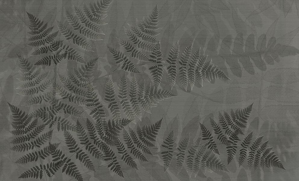Обои с рисунком N.O.W. Edizioni NATURE / SHADOW FERN ARCH-00082687 - Вид №4