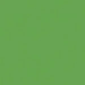 Гармония салатный SG924600N 30х30