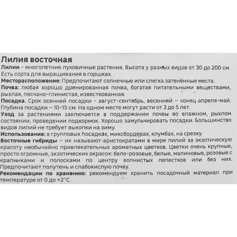 Лилия Geolia восточная Салмон Стар 86408627 STLM-2026324  - Вид №2
