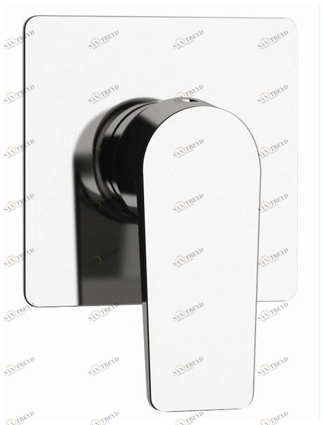 Remer Rubinetterie Смеситель для душа встраиваемый Dream D 30