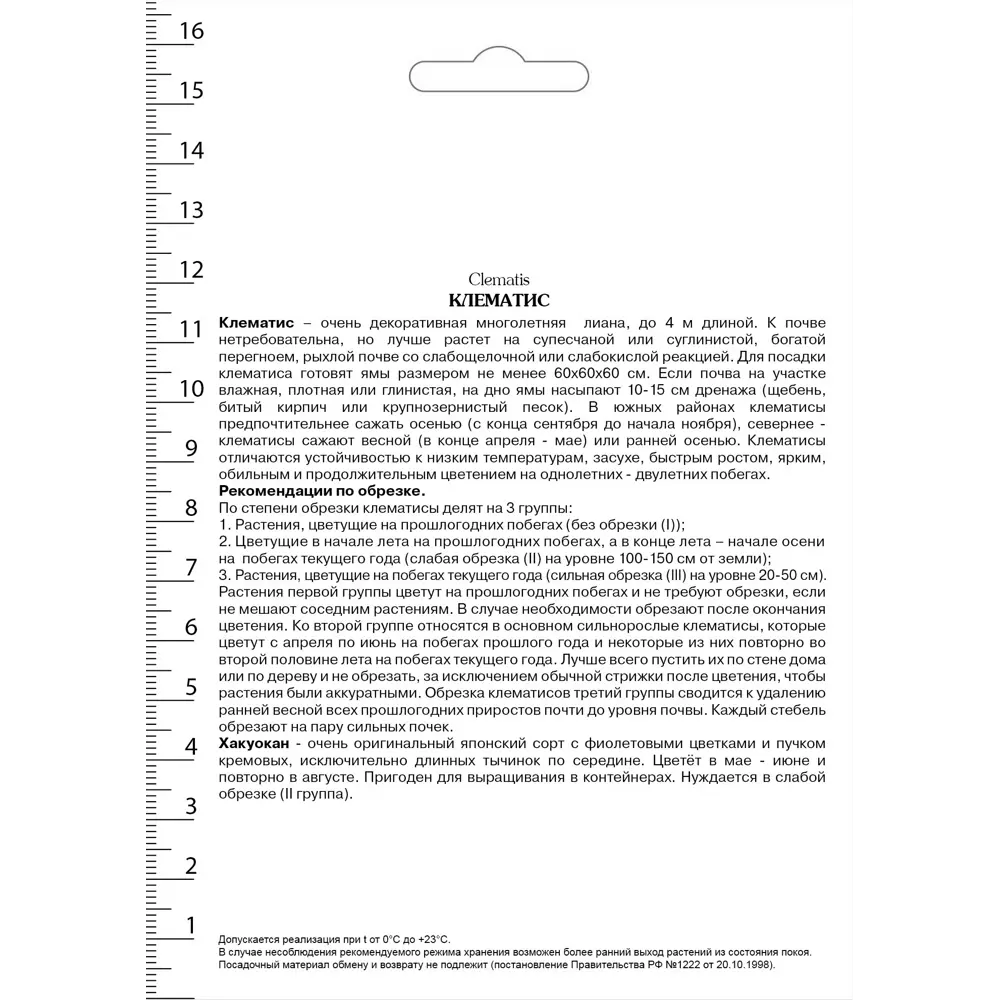 Клематис крупноцветковый Хакуокан в капере 82527588 STLM-2086410 Santreyd  - Вид №1