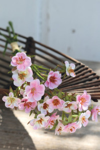 2023 510 a3 Букет из восковых растений, 32 см, розовый H-andreas