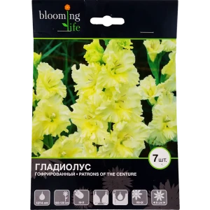 Гладиолус гофрированный «Патронс оф зе Центури» 81945928 STLM-2069993