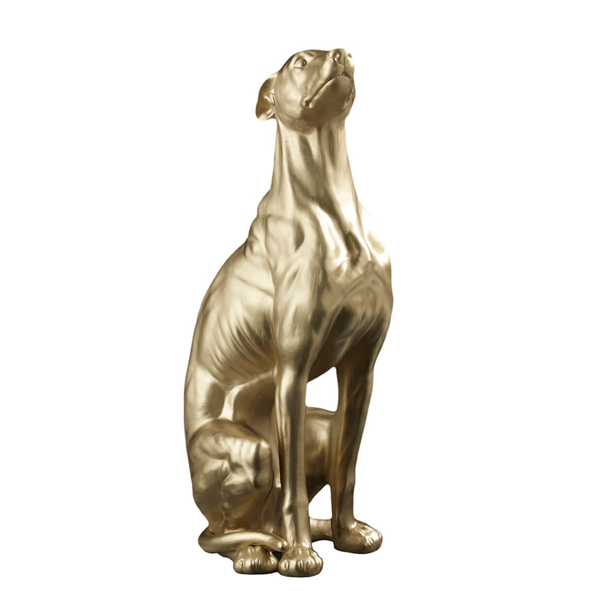 600134-10 ABHIKA ГРЕЙХАУНД WHITE  - Вид №2