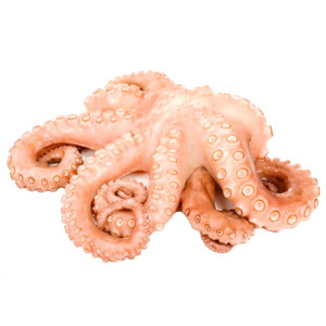 Осьминог свежемороженый 2 - 3 кг