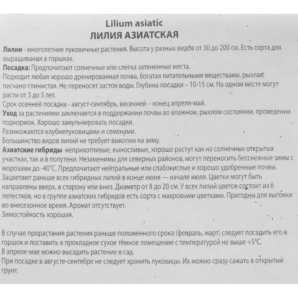 Лилия азиатская Мемориз Патио 85205795 STLM-2064829 ПОИСК  - Вид №2