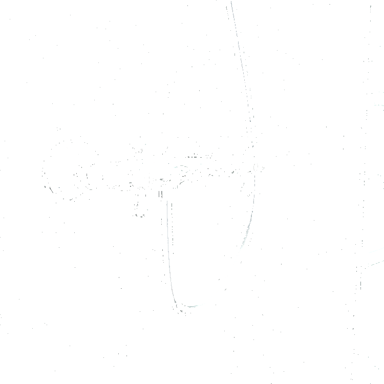 Paini Tango TNCR511 смеситель для душа - Вид №1