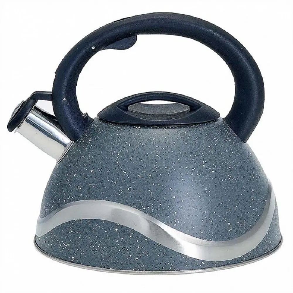 90610271 Чайник Webber BE-0573 3 л нержавеющая сталь цвет серо-голубой STLM-0877653