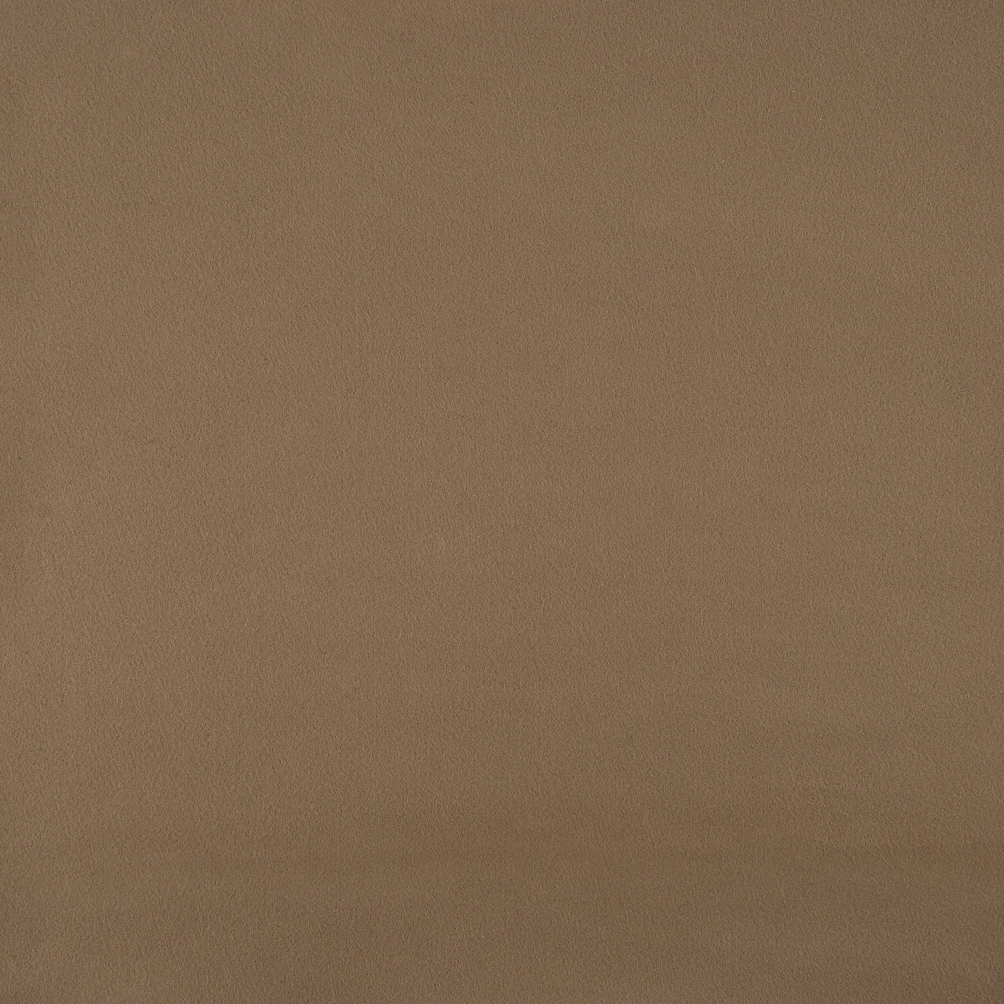 82200462 Ковровое покрытие «07021 ФлорТсофт», 2 м, цвет коричневый Santreyd 