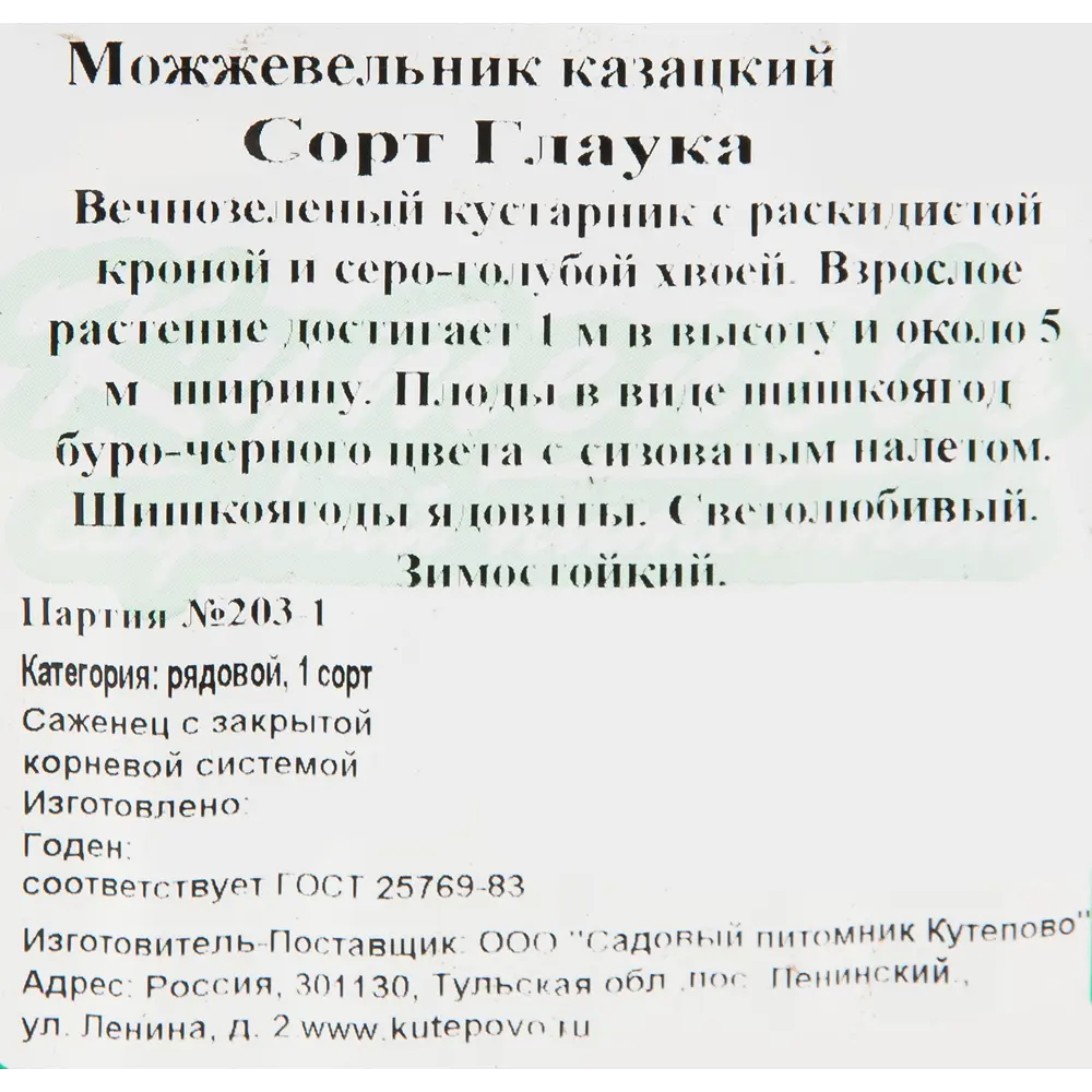 Можжевельник казацкий Глаука 15x30 см 82596782 STLM-2075359 Santreyd  - Вид №1