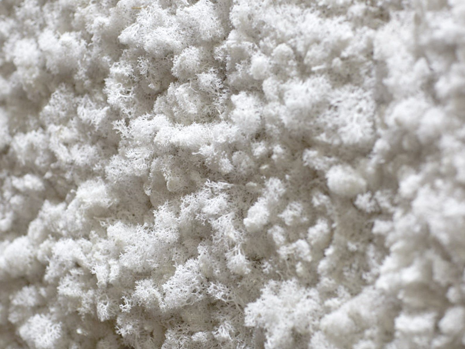 Растительная стена из мха Freund GmbH Green ARCH-00131248 - Вид №14