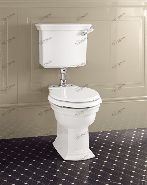 WCCBWES Компакт унитаз с бачком Белый Devon&Devon  Италия 