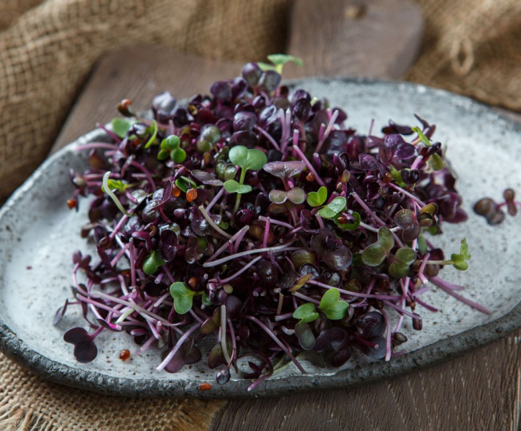 4171 Микрозелень редиса фиолетового "Санго" Вкусляндия  - Вид №1