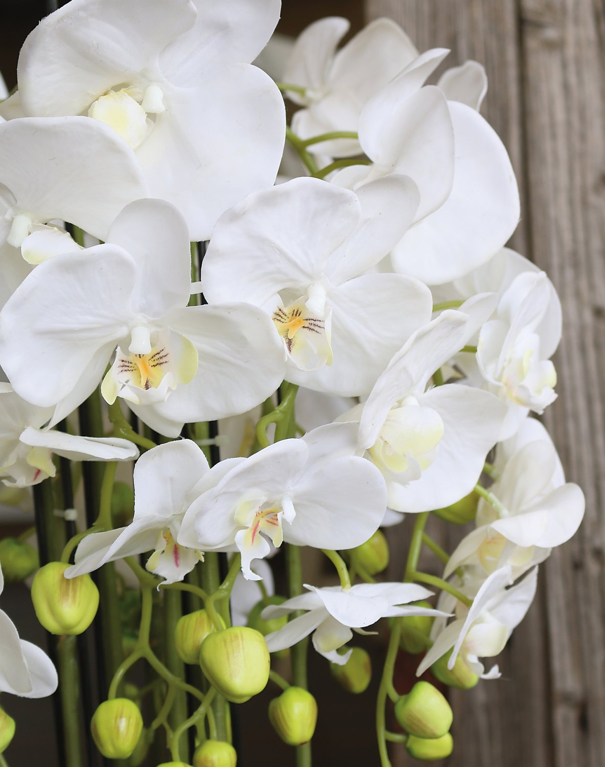 2861 777 a3 Пластиковая орхидея Phalaenopsis с 'почвой', 9-кратная, 70 см, real touch, белая H-andreas  - Вид №9