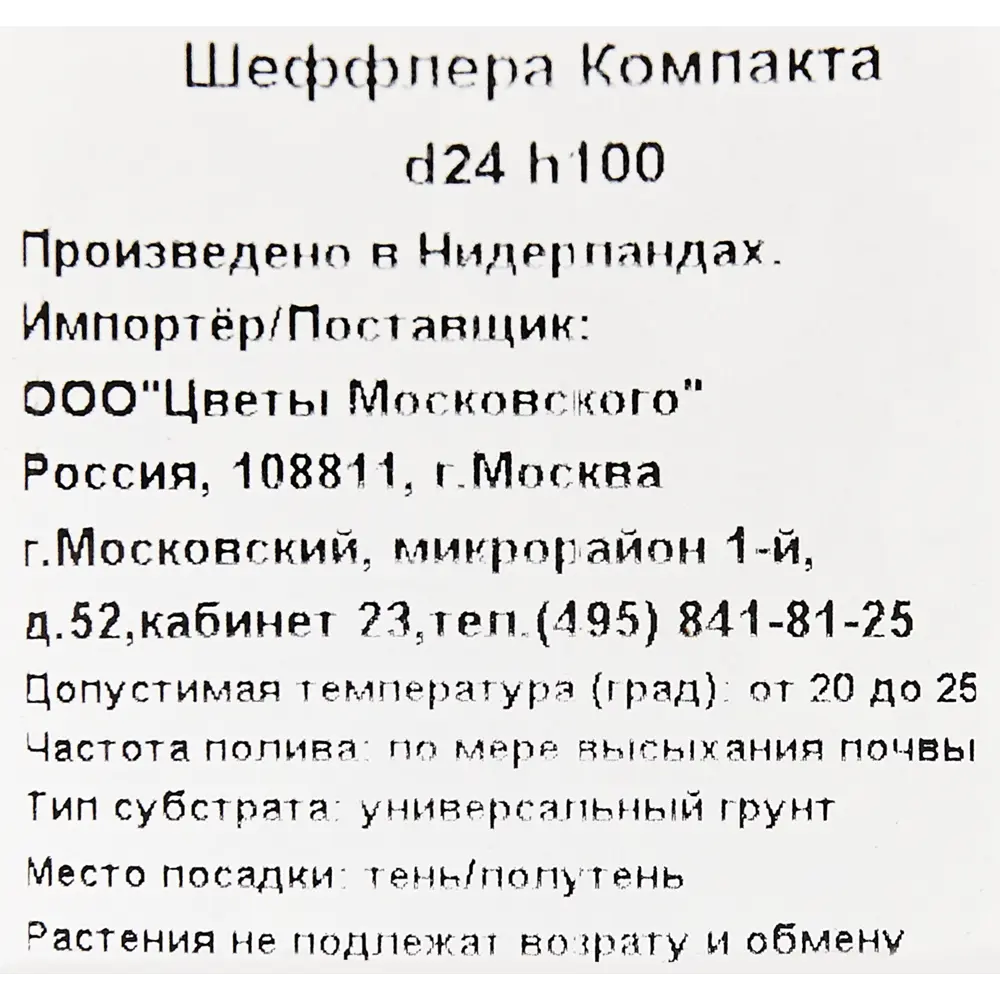 Шеффлера Компакта 24x100 см 82892078 STLM-2048137 Santreyd  - Вид №2