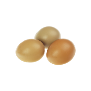 Яйцо фазана