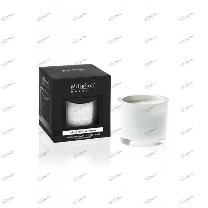 Ароматическая свеча 180гр "Белая мята и тонка" White Mint & Tonka MILLEFIORI MILANO МЯТА 267338 Белый 