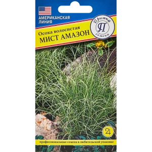 Santreyd Осока Мист Амазон - серебристо-зеленый многолетник для сада 89345067