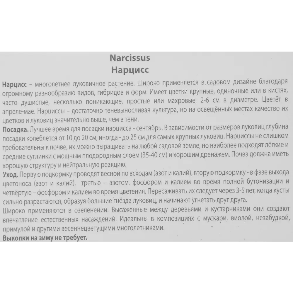 Нарцисс махровый Брайдал краун луковица 10/12, 3 шт. 88294750 STLM-2173756 Santreyd  - Вид №2