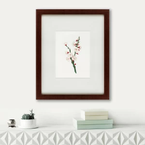 Литография на тонированной бумаге 42х52 см Apricot flower (Prunus armeniaca), 1832 КАРТИНЫ В КВАРТИРУ  191751 Бежевый;белый;разноцветный