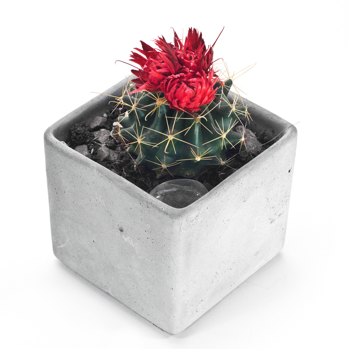 2000983104700 Кашпо Блок COSMO RED  - Вид №2