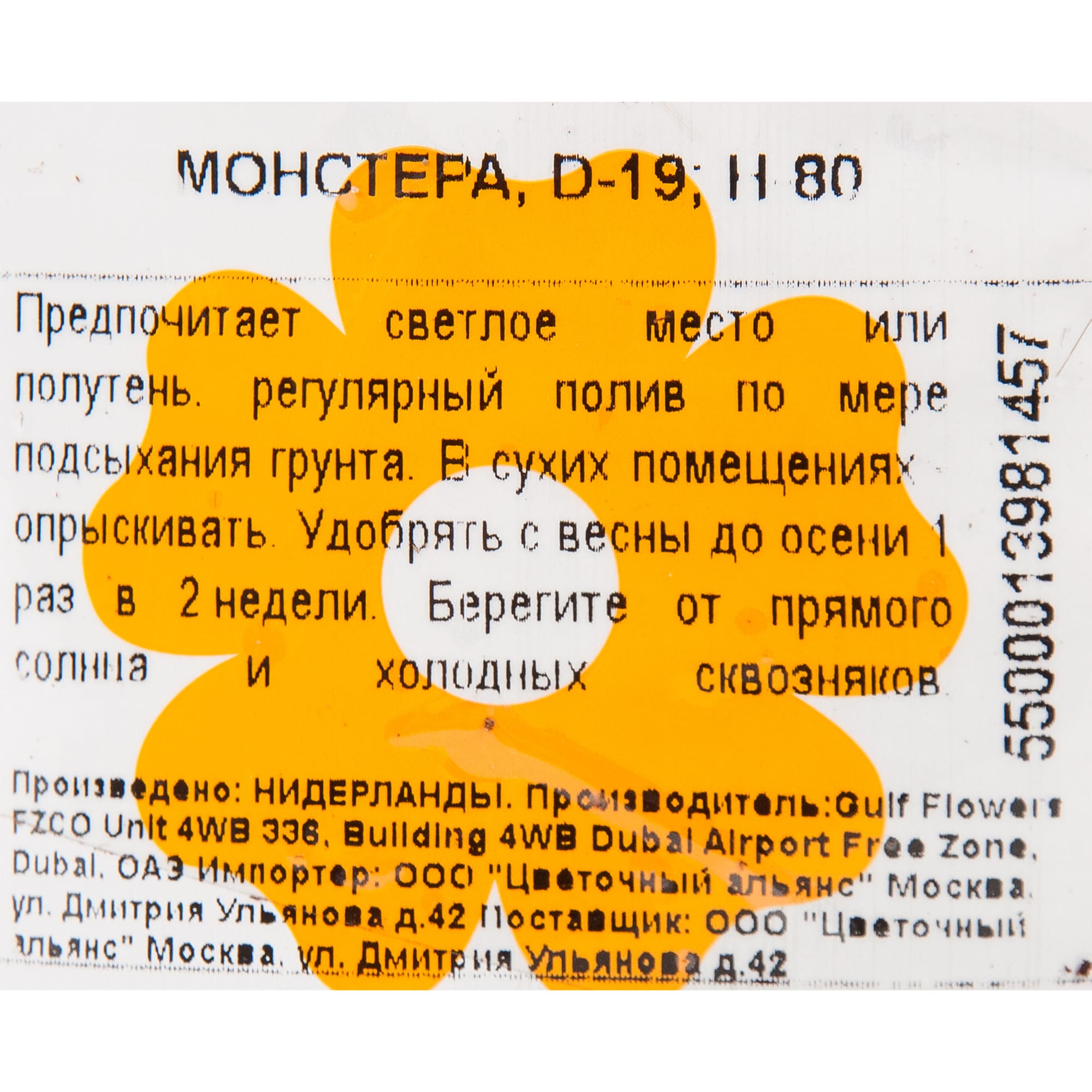 82850370 Монстера 19х80 см Santreyd  - Вид №2