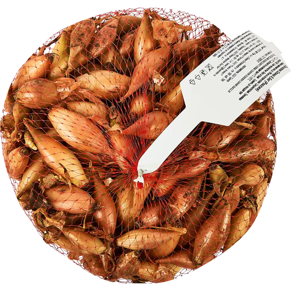 Лук севок Олина луковицы 12 0.5 кг ПОИСК STLM-2186837