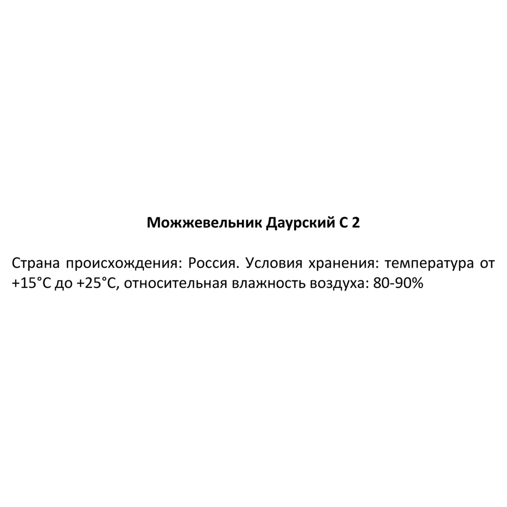 Можжевельник даурский ø17 h40 см 84429208 STLM-2036951 Santreyd  - Вид №2