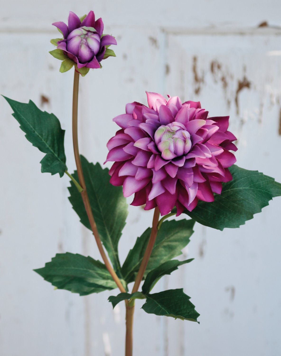 2451 222 a3 Пластиковый георгин, 56 см, темно-фиолетовый H-andreas  - Вид №2