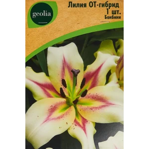 Лилия Geolia от-гибрид Бонбини 86408650 STLM-2016563