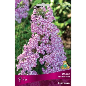 Флокс пятнистый Наташа луковица I 83600090 STLM-2092618