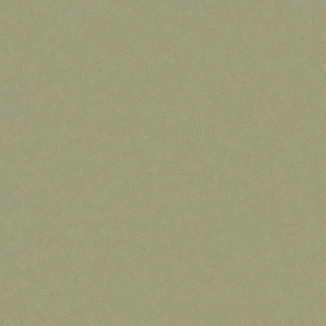 Обои флизелиновые New Age Деко оливковые 1.06 м NA9165-14