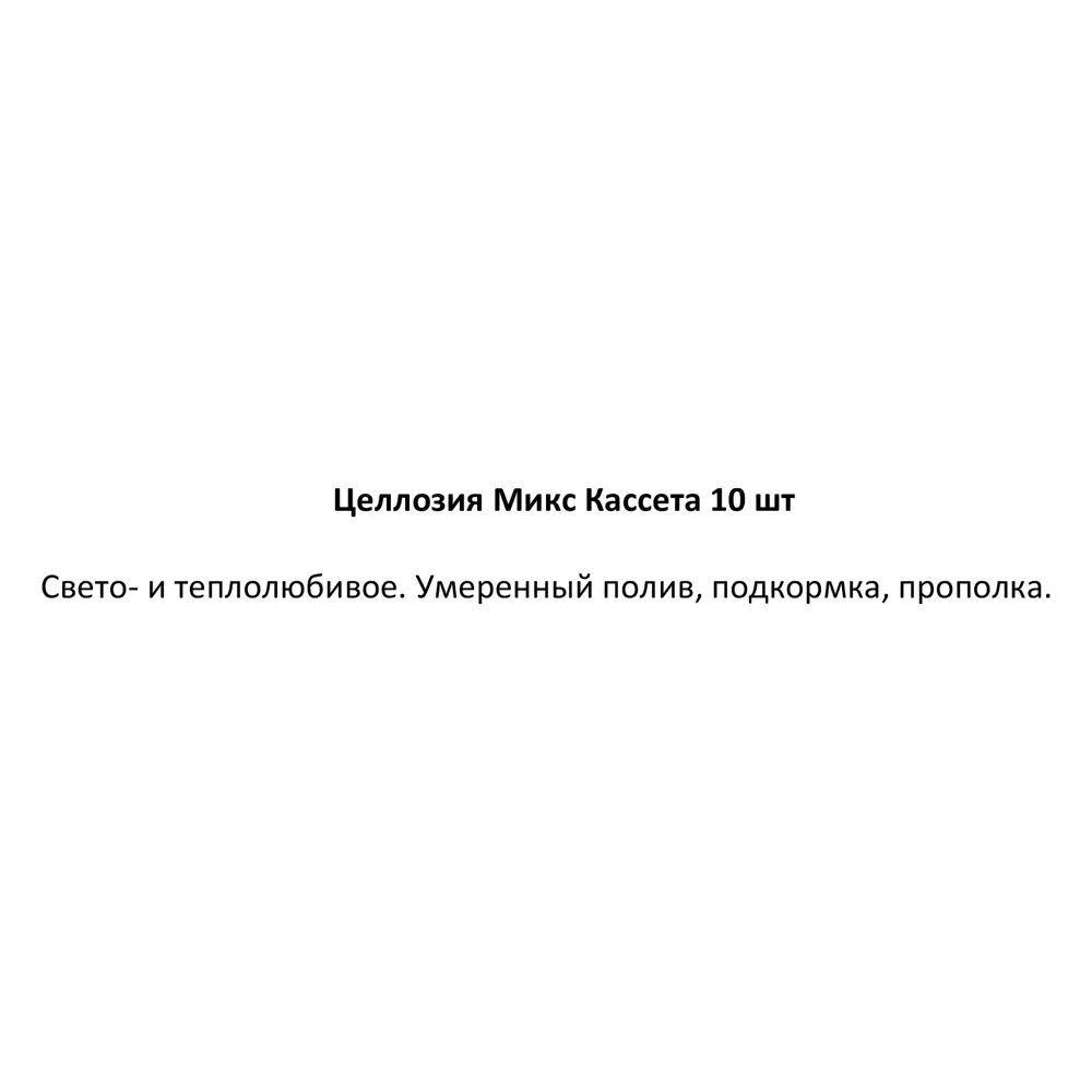 Рассада Целозия h20 см, 10 шт. 83248332 STLM-2186304 Santreyd  - Вид №3