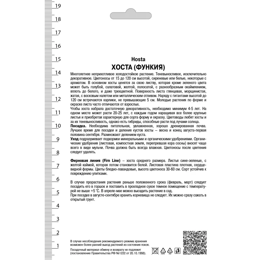 Хоста гибридная «Фирн Лайн» 82530262 STLM-2055982 Santreyd  - Вид №1