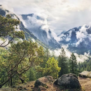 SH007-VD1-Unique-Paradise Фотообои Komar Stefan Hefele 1х2 м