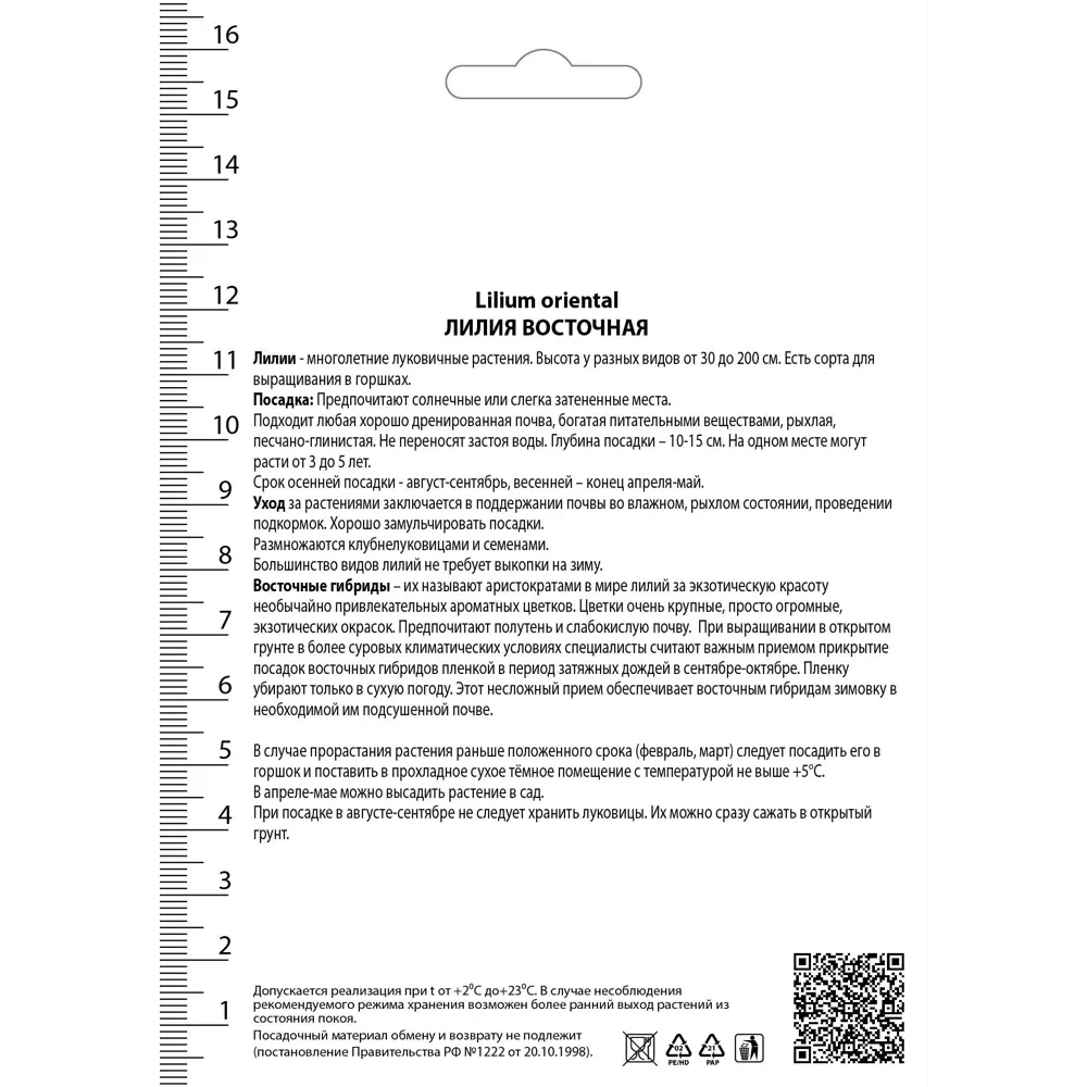 82530236 Лилия восточная Диззи 12/14, 1 шт STLM-0959544 Santreyd  - Вид №1