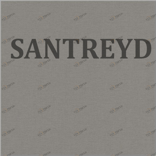 448627 Обои Rasch Florentine