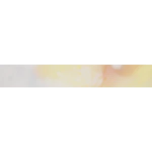 Бордюр «Gerbera» 4.5х30 см цвет светлый 18075650 STLM-2141423