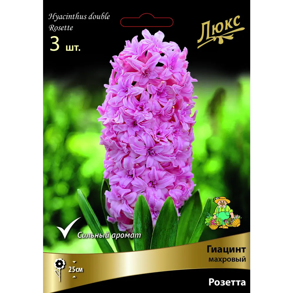 ПОИСК Гиацинт махровый Розетта - нежно-розовые луковицы для сада 89381283 STLM-1580299
