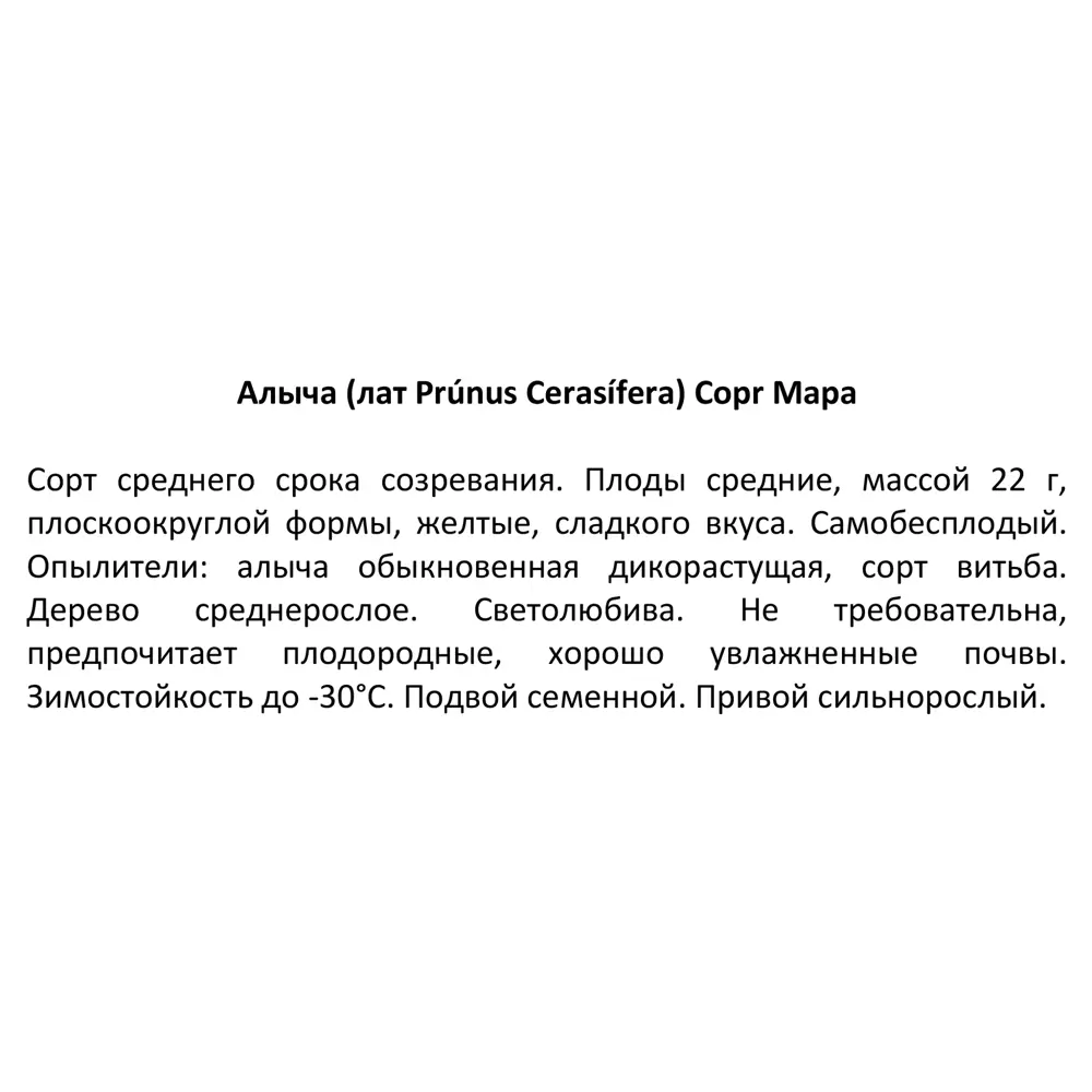 Алыча микс ø20 h140 см 85607946 STLM-2003229 Santreyd  - Вид №3