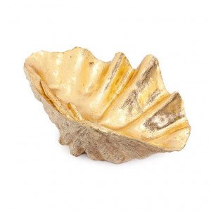 600601-01 ABHIKA TRIDACNA MED GOLD