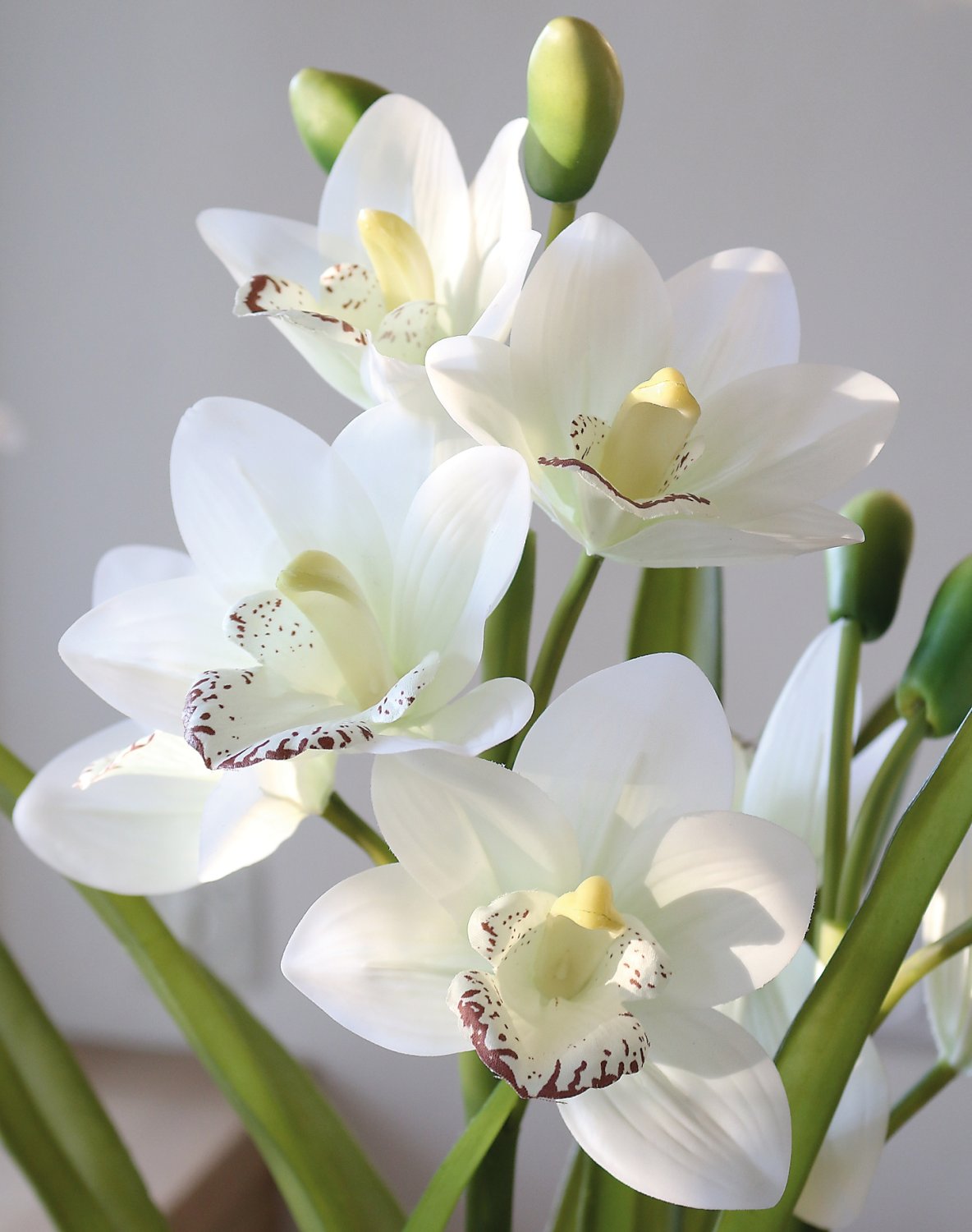 2533 778 a3 Пластиковая орхидея цимбидиум, горшечная, 55 см, real touch soft, бежево-белая H-andreas  - Вид №8