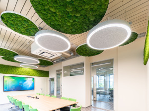 Акустическая подвесная / настенная панель из мха